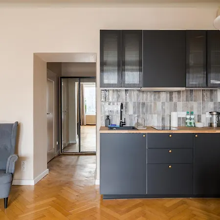 Plac Dabrowskiego Deluxe Apartment *