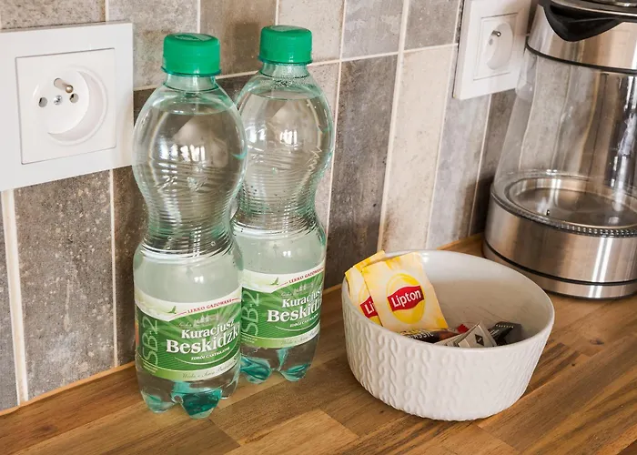 Apartment Plac Dabrowskiego Deluxe By Bookinghost